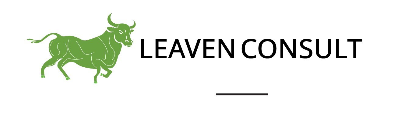 Leaven Consult